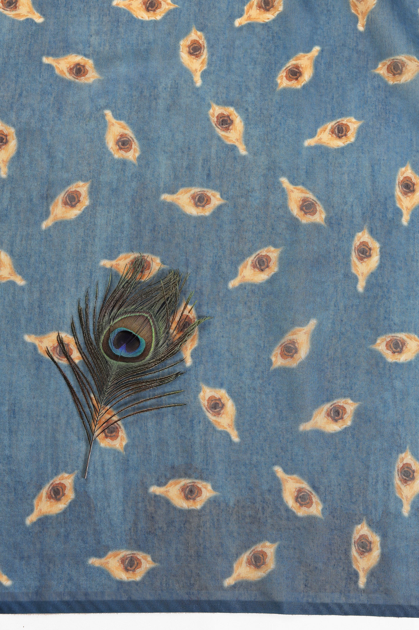 Mor Bansi Blue Printed Saree