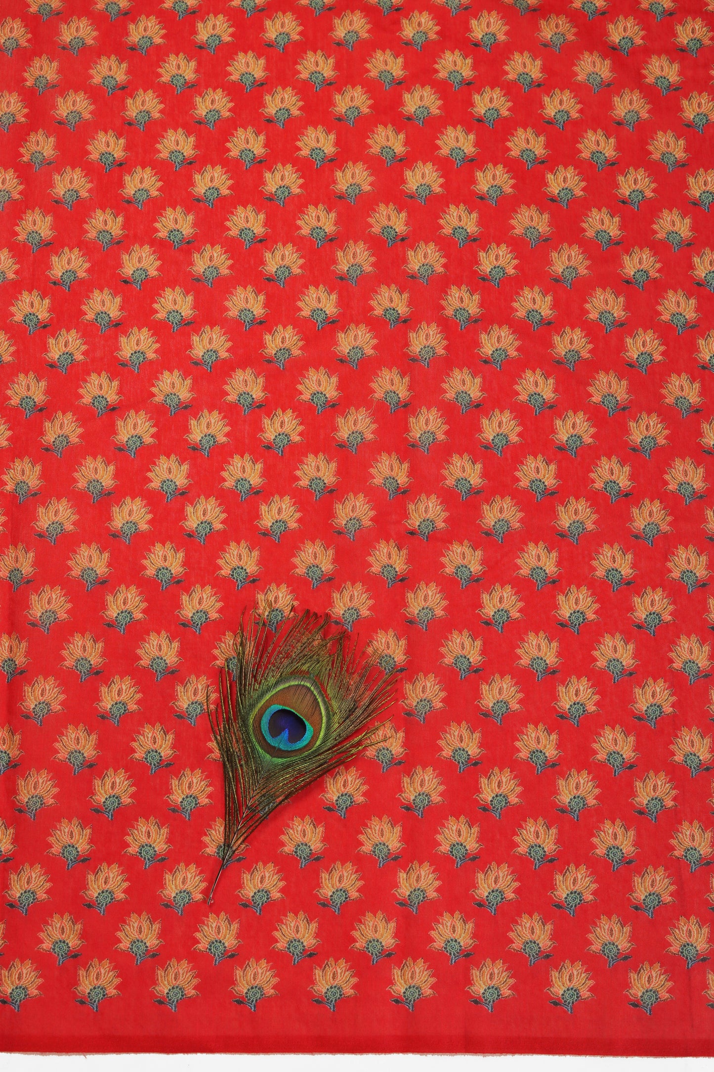 Rudra Leela Chanderi Saree