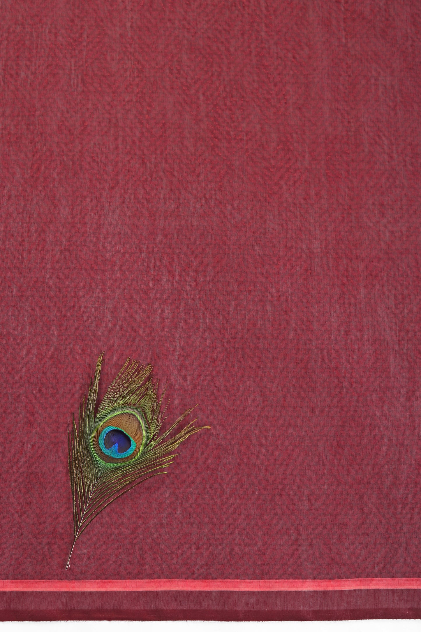 Madhuri Van Chanderi Saree